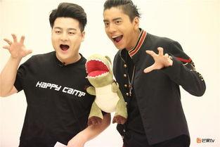 吃瓜娱乐王大陆,揭秘娱乐圈幕后故事